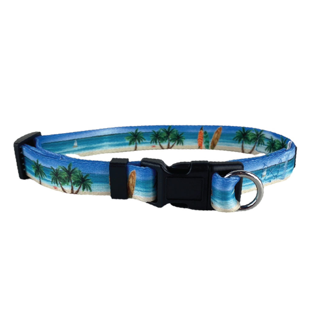 beach collar-01