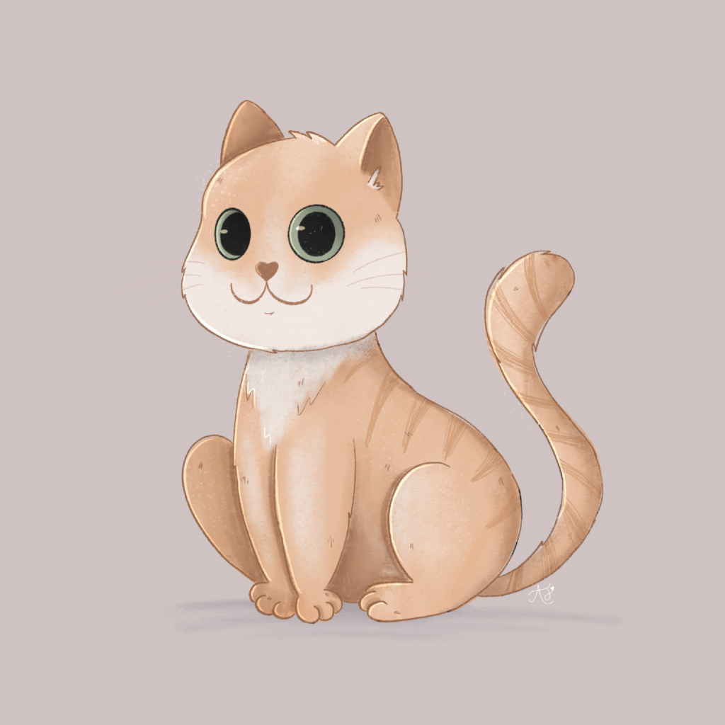 cat-01-01