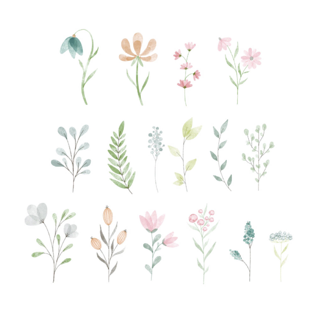flowers-01