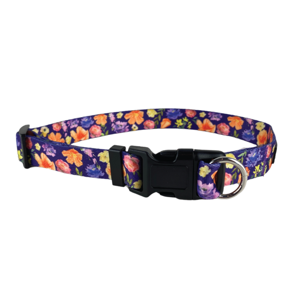 purple collar-01