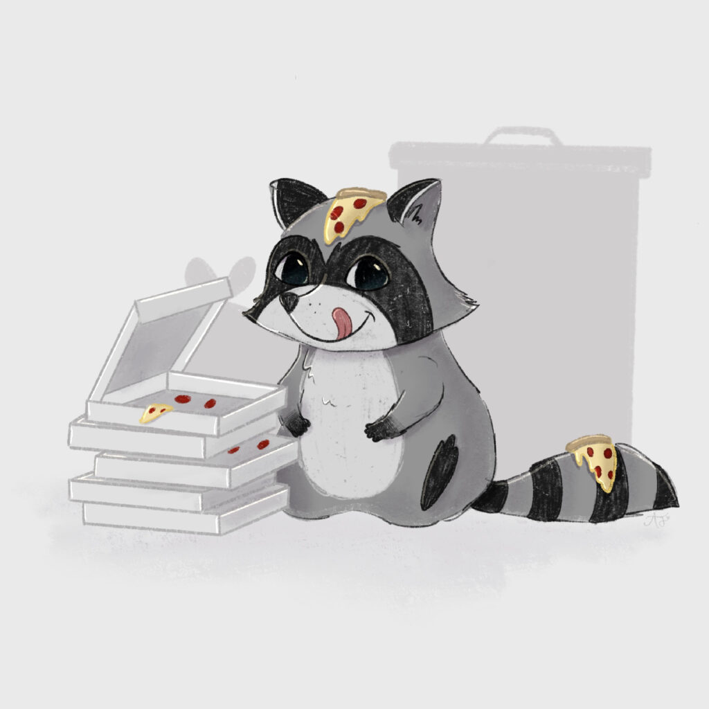 raccoon-01