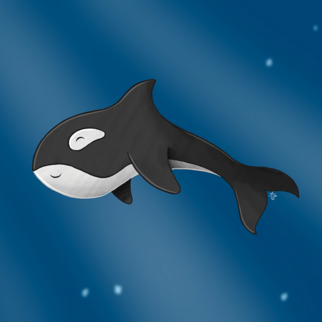 whale-01