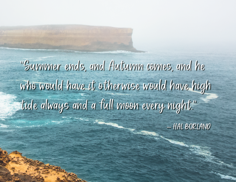 03 Summer Nights_Quote-01